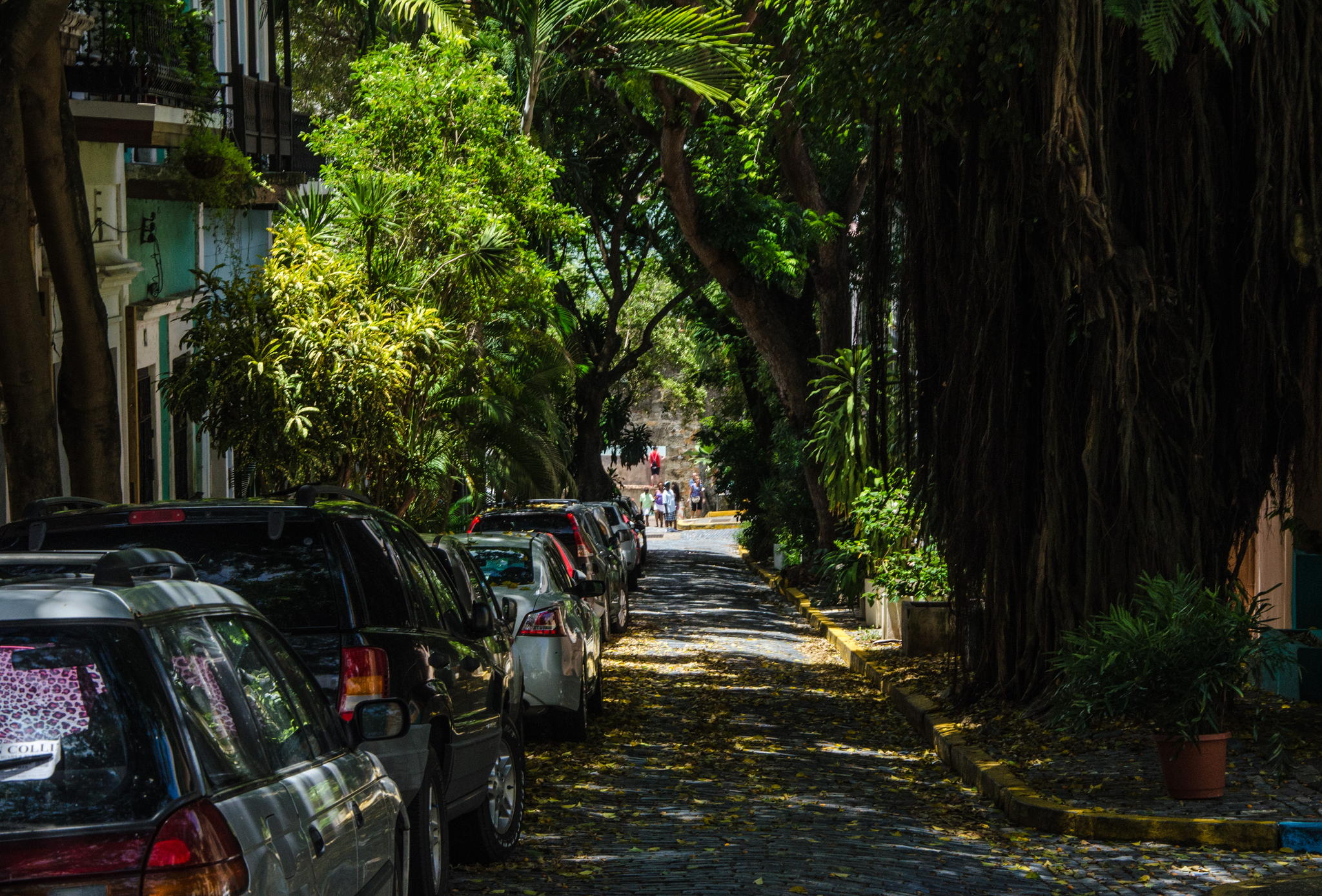 Laneway by Siobhan Prasad