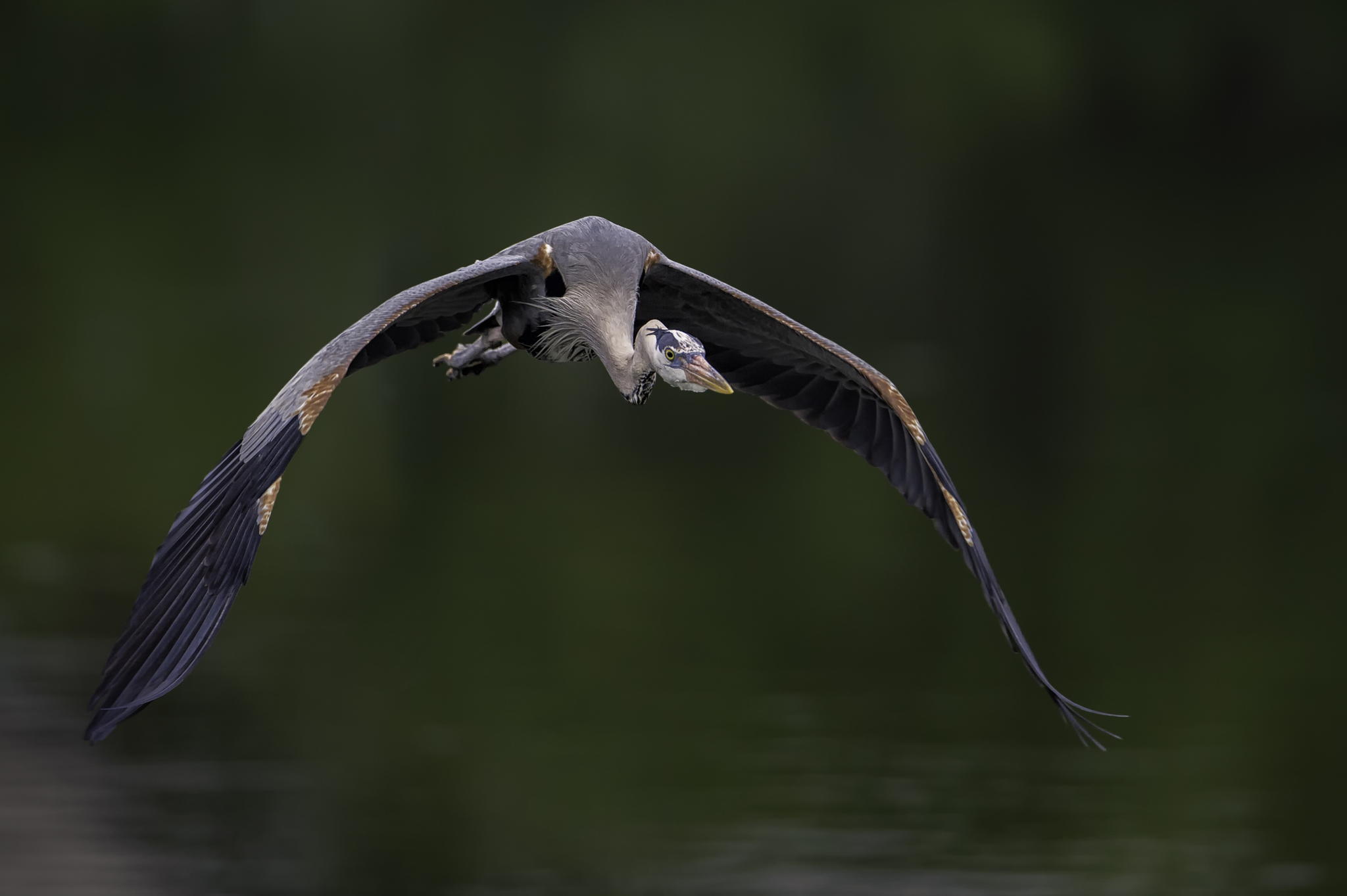 heading Out by Daniel Parent