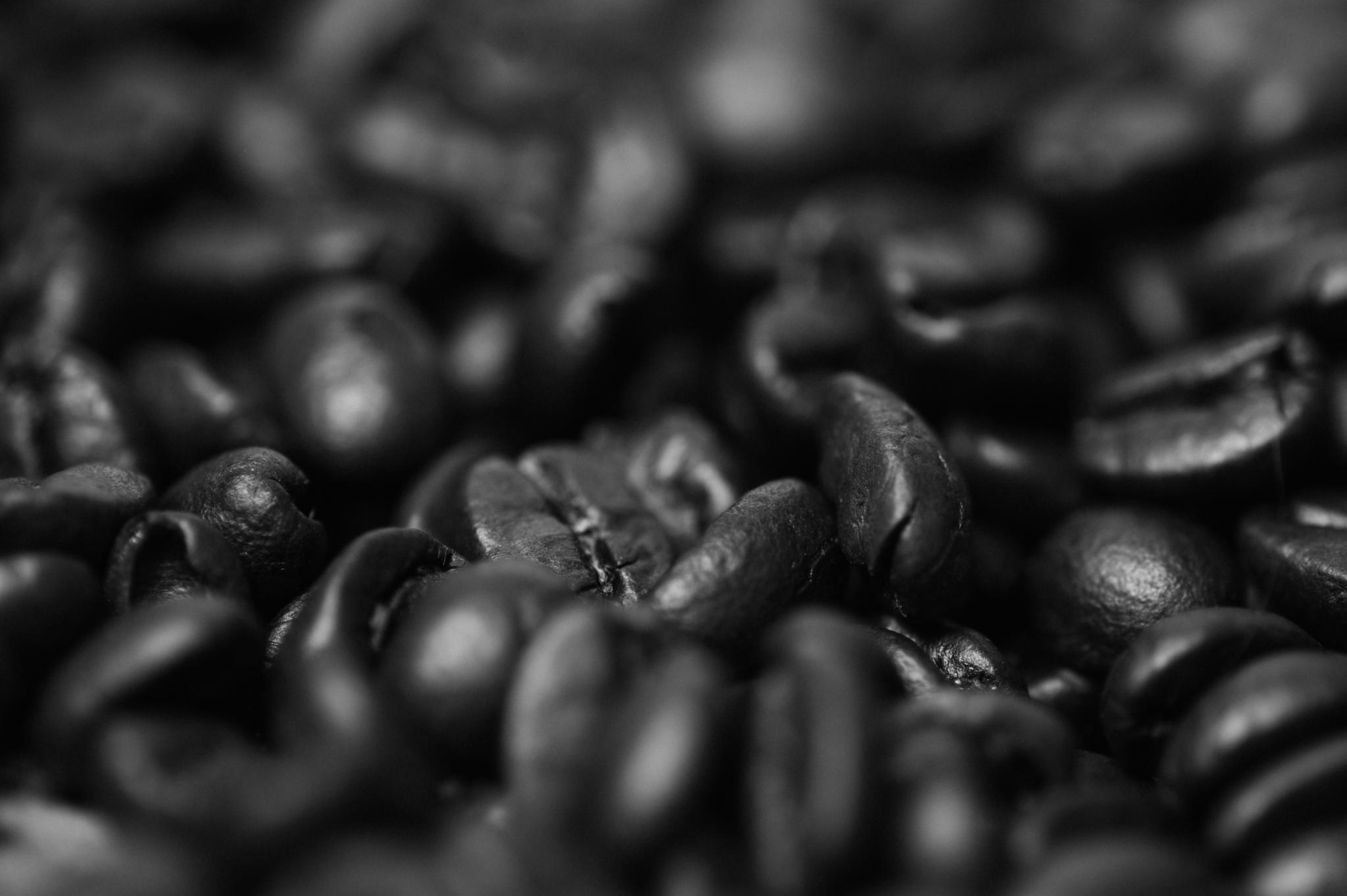 Beans *0099 by Mark Shannon