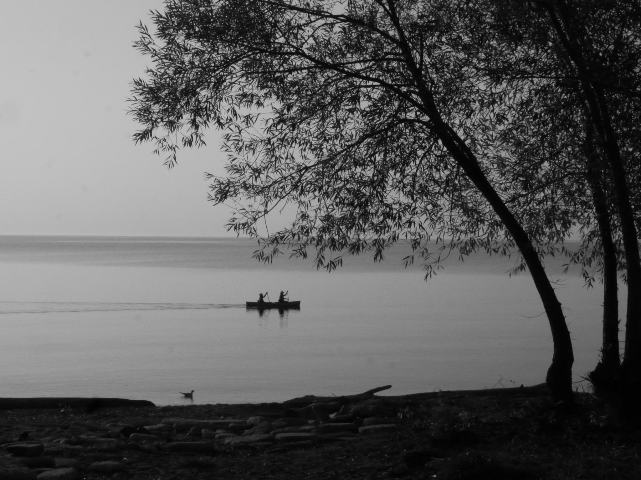 Serenity by Trisha Gillings