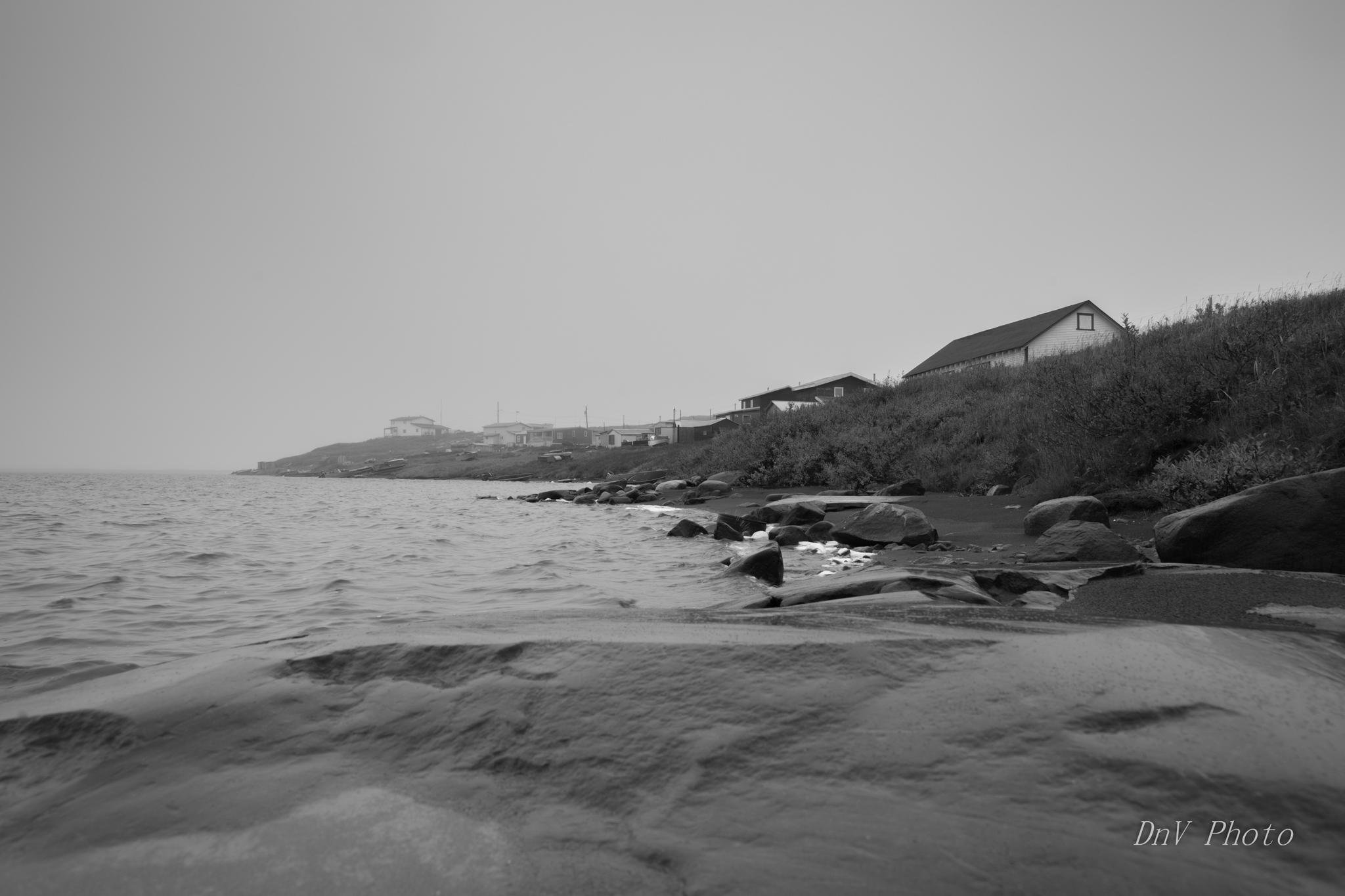 A Foggy Morning by David Ho