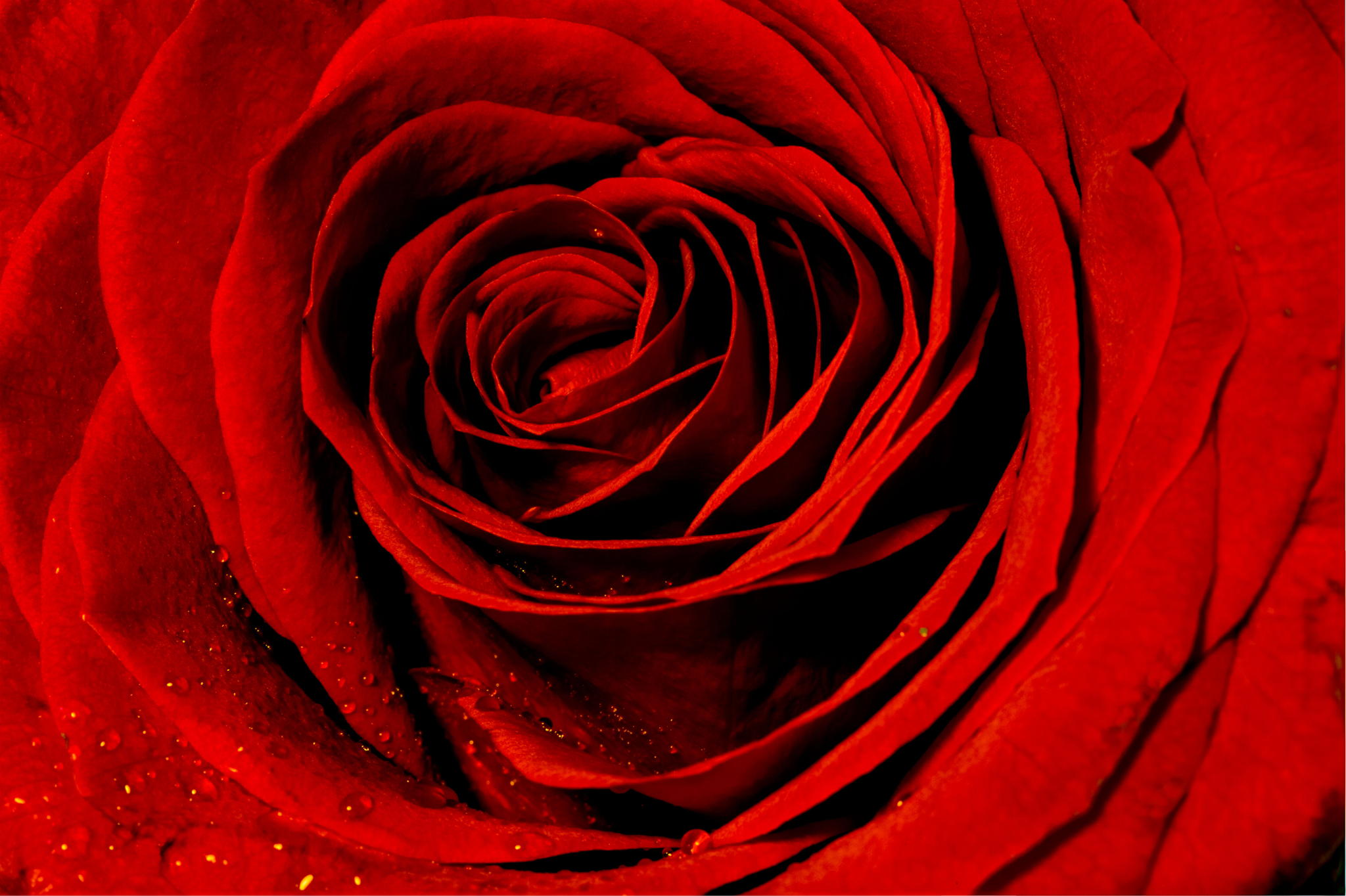 By any other name… by Brian Grunté