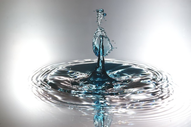 Untitled by Robert Alemany