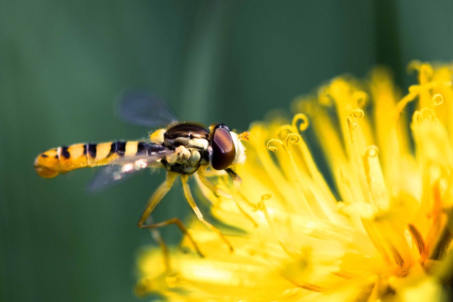 Jenn Langworth - Slurp