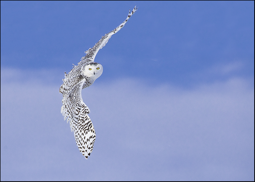 Ask the Expert - Moving Subject Techniques - clear skies