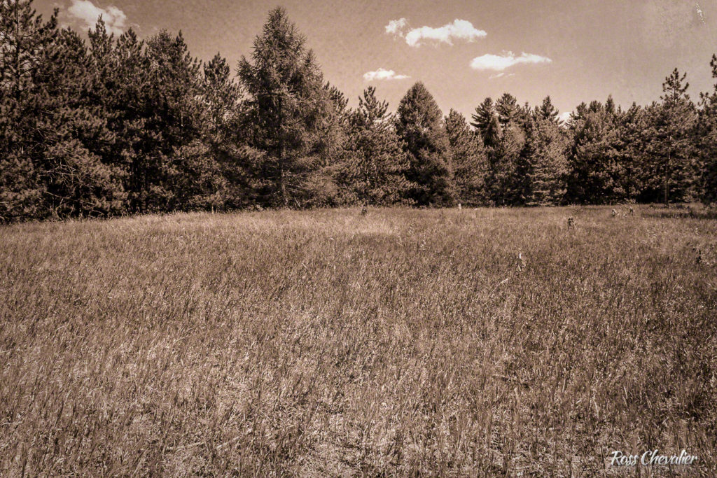 Figure 5 : Cappucino treatment with paper texture